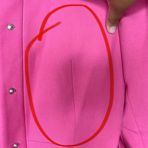 Zara Pink Blogger Favorite Barbiecore Belted Frock Coat Size Medium - Picture 12 of 16